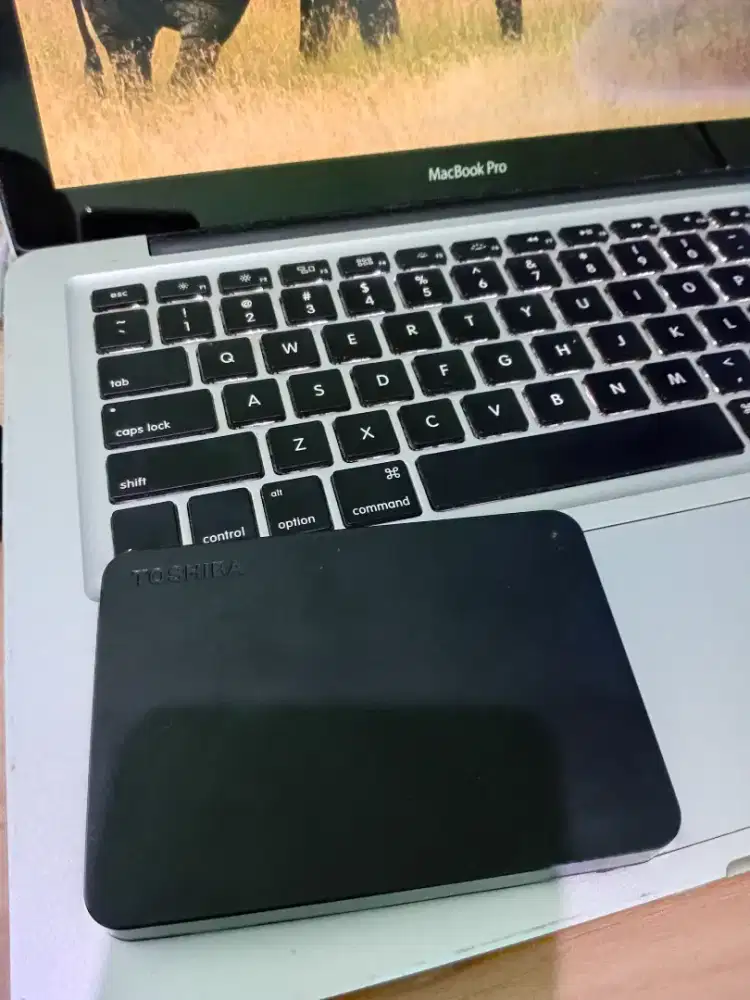 HDD Toshiba Original