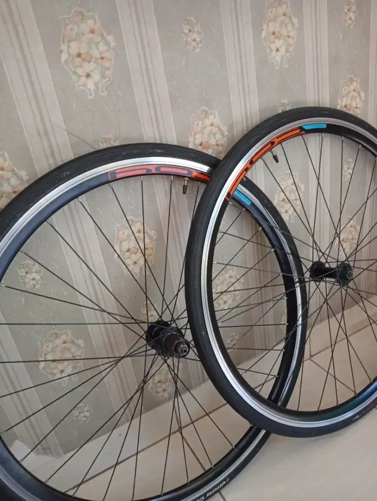 Whelset polygon S2