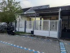 Rumah di kontrakkan