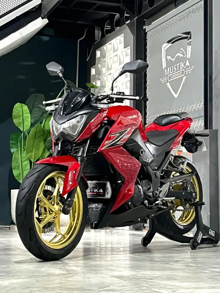 Naked 250 Fav‼️Kawasaki Z250 2013. DANNY Mustika Motor Sulfat