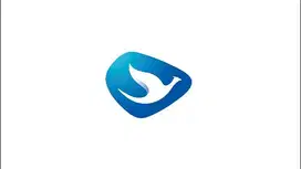 Lowongan driver blue bird