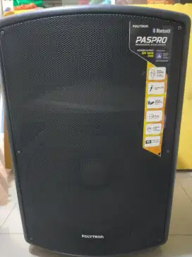 Speaker active politron PASPRO