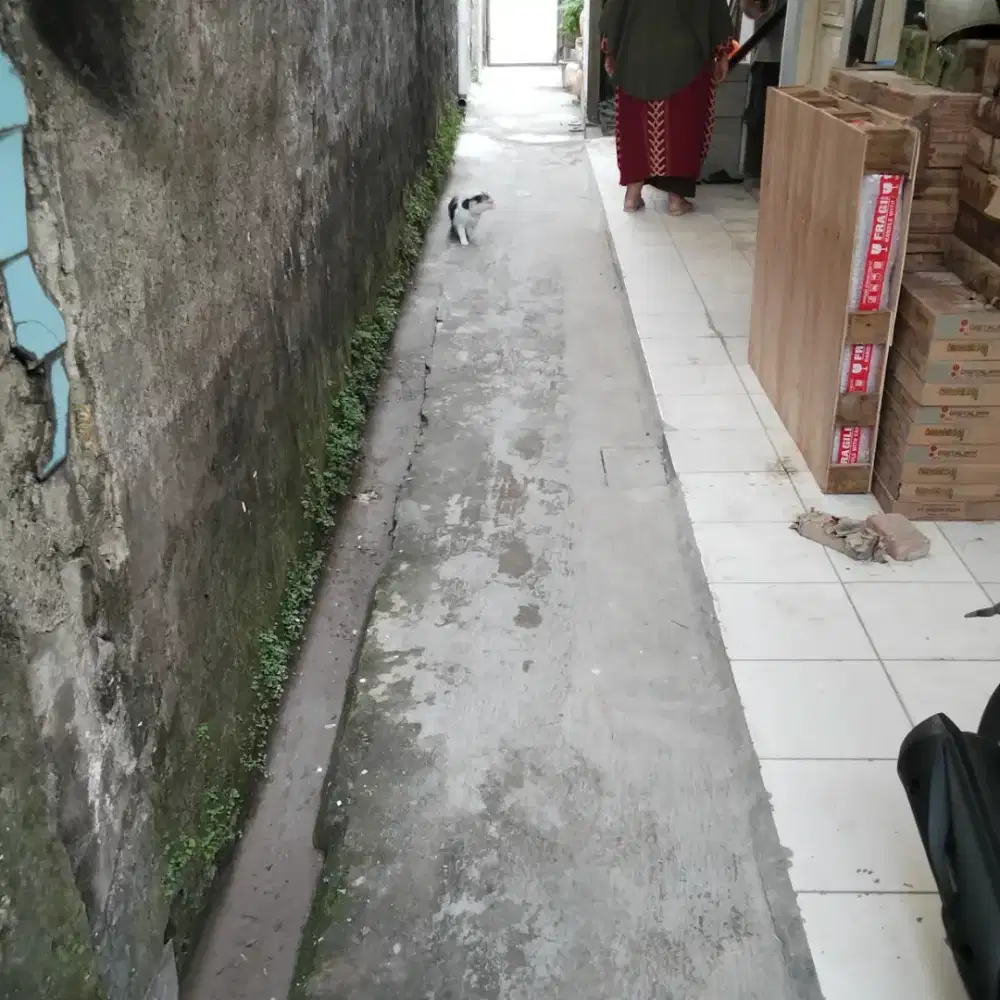 menyewakan kontrakan