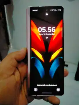 Samsung fold2 mulus