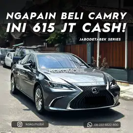 LEXUS ES00H ULTRA LUXURY 2019