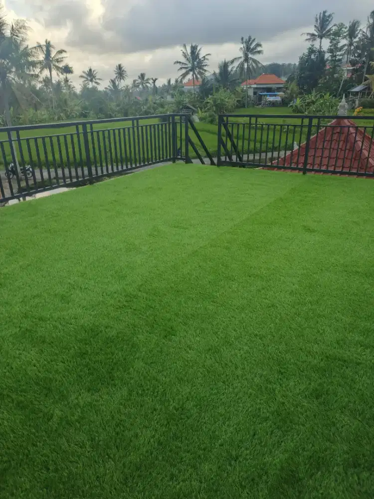 rumput Sintetis murah di tangerang bisa cod