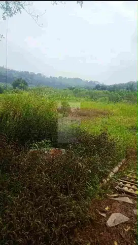 tanah di gunung Sindur Bogor