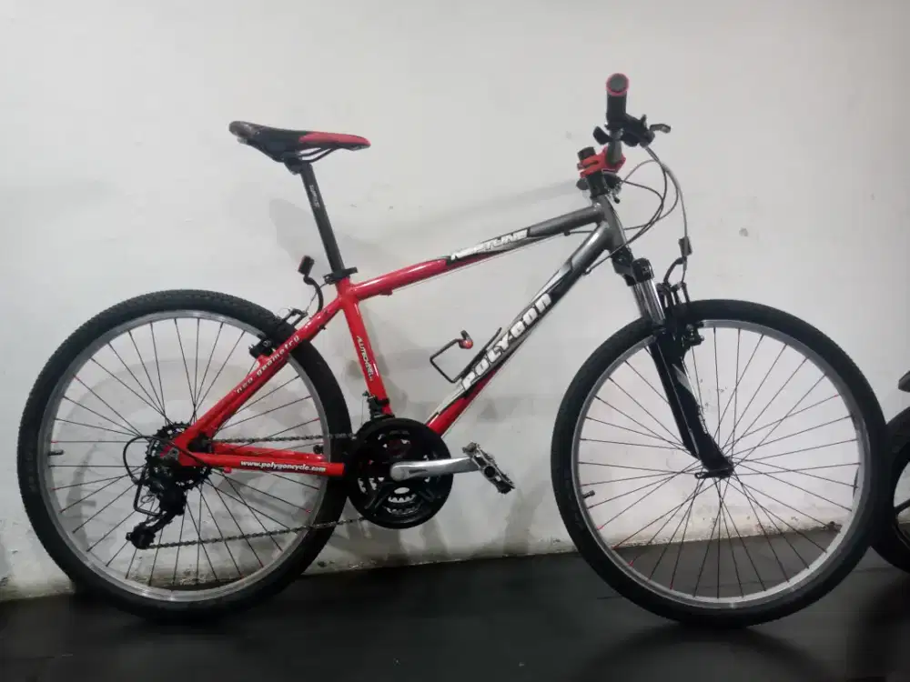 Sepedah MTB Polygon NEPTUNE