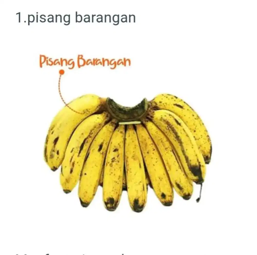 Pisang barangan