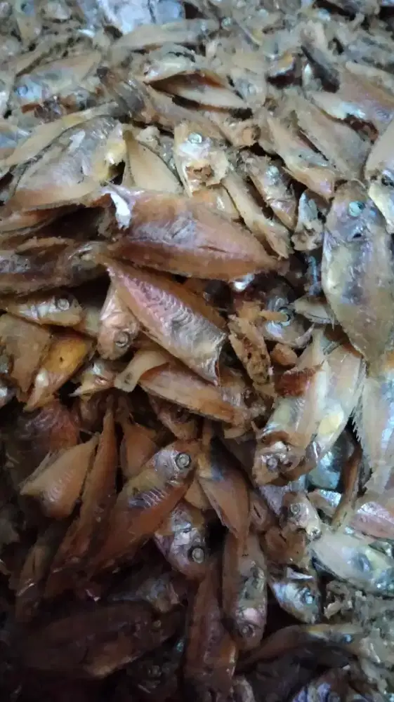 Ikan asin yu merapat