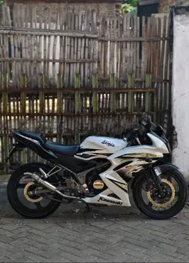 Kawasaki Ninja RR 2012 SE