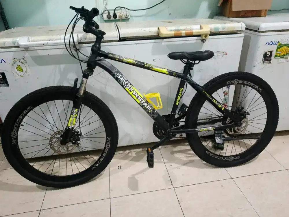Sepedah gunung MTB PHOENIX STAR