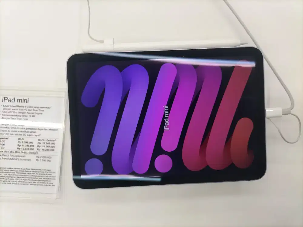 iPad mini 7 256GB (wifi)