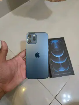 Iphone 12 Pro Max iBox 256gb Fullset Nominus