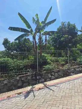 DiJual KAVLING STRATEGIS 300m2 SHM di Mulawarman dekat UNDIP Tembalang
