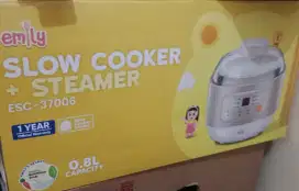 Emily slow cooker + steamer