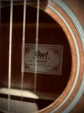 Gitar Akustik Kondisi Mulus Harga Murah Nego!