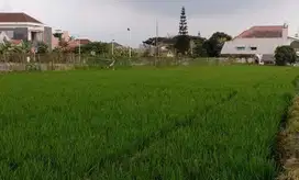 Dijual Rugi Harga NJOP Tanah Poros Jalan Pusat Kota Malang