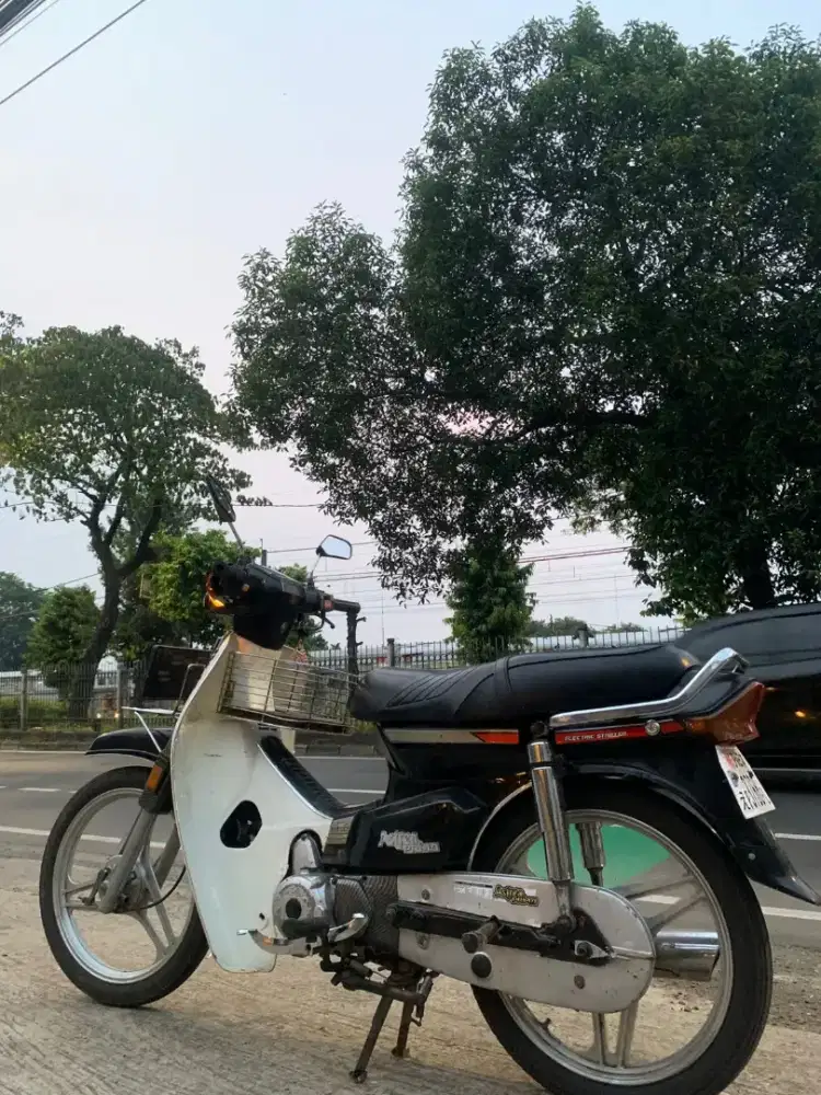 Astrea prima thun 1990