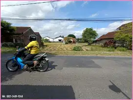 Jual Tanah Sleman, Kalitirto Berbah : SHM Pekarangan