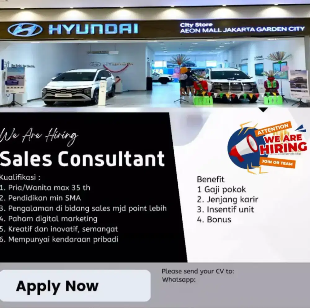 SALES CONSULTANT