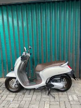 Scoopy prestige 2024