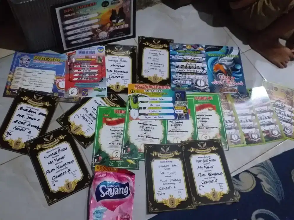 Burung cendet prestasi