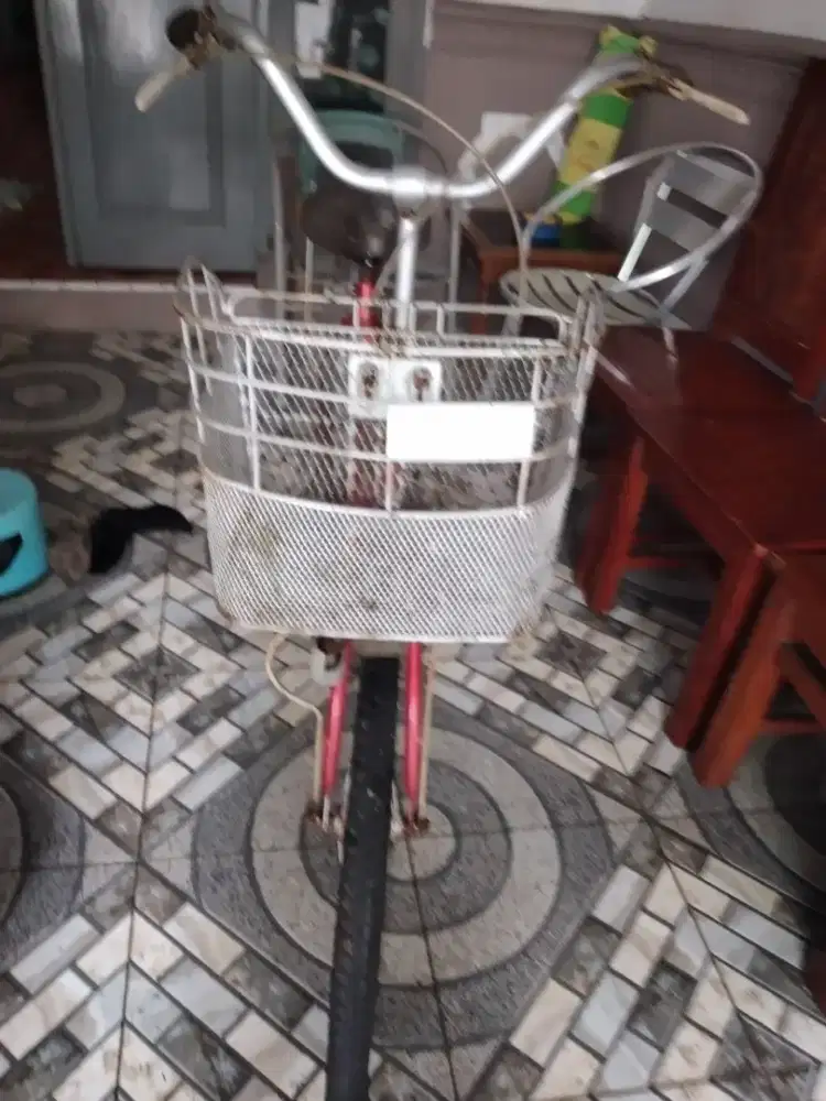 Sepedah mini united plus keranjang