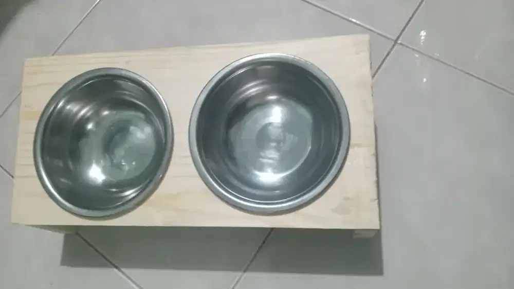 Tempat makan kucing