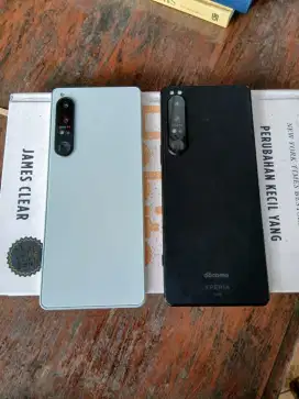 Xperia 1 Mark IV Mulus