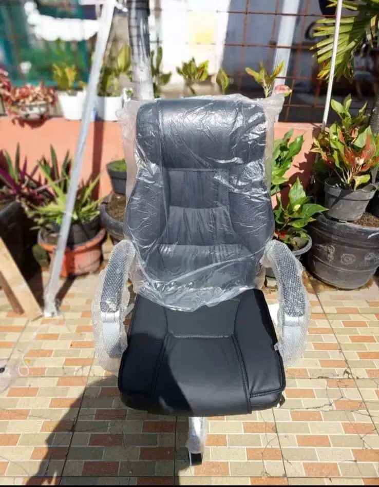 Kursi direktur premium