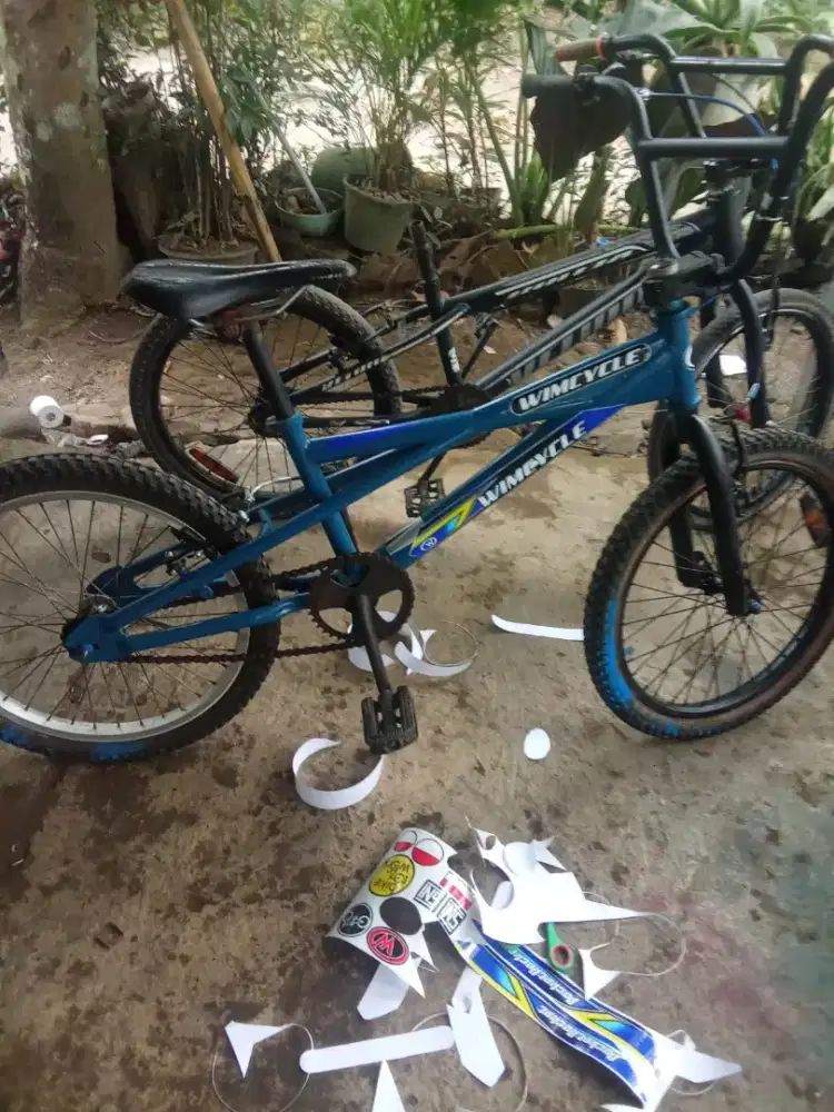 BMX 20 wimcicle