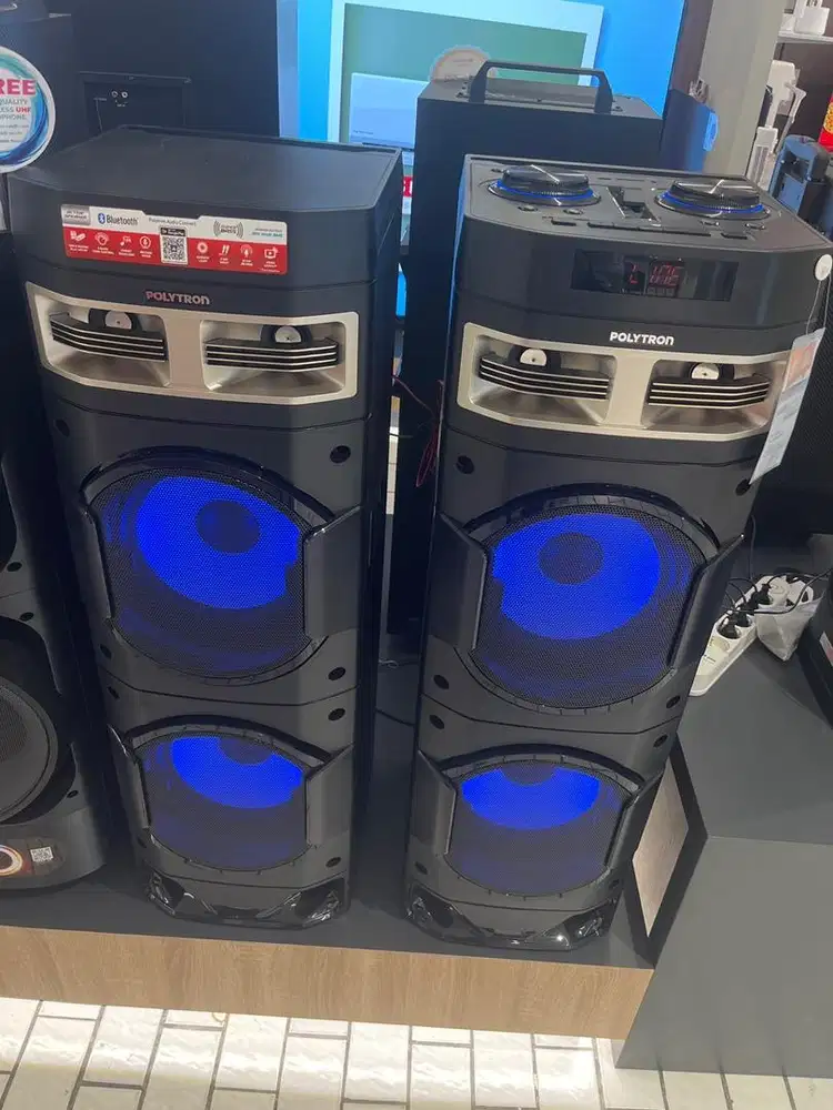 POLYTRON ACTIVE SPEAKER PAS 10DF28