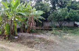 Tanah Tembalang Bulusan Utara Undip Ring 1