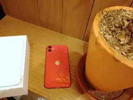 Iphone 11 128gb member merah