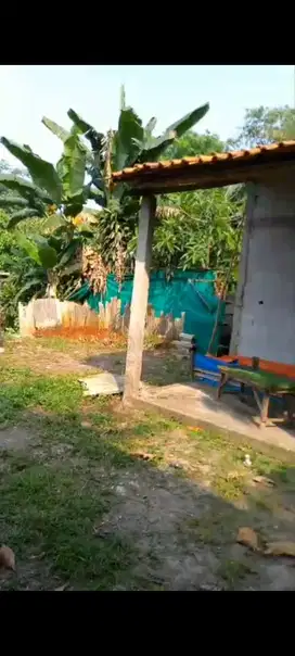 Jual Butuh Tanah Murah
