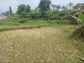 Dijual Tanah Di citeko Cisarua Puncak