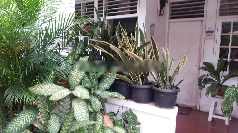 Rumah murah dekat radio dalam kebayoran baru