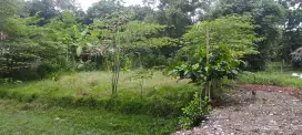 LAHAN GRATIS UNTUK PERTANIAN ATAU PETERNAKAN
