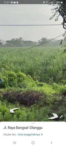 Lahan luas 4,5 HA harga 400 ribu permeter di Bangsal, Mojokerto