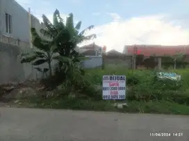 tanah kavling ciskul anthorium main road