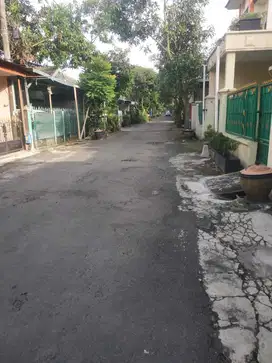Tanah Sulfat Pandan Wangi Blimbing Malang