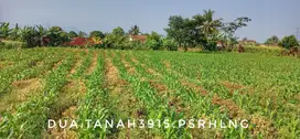 Dijual tanah luas matang pinggir jalan lokasi strategis Di Sukabumi