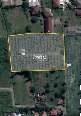 Tanah Kavling Prospektif Untuk Kompleks Villa Panderman Hills Batu