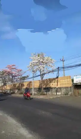 Dijual Tanah 0 Jln Raya Tanjungsari Surabaya Sangat cocok untuk Gudang