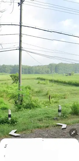 Lahan industri 7 HA harga 900 ribu permeter 11 km dari Pintu tol Ngawi