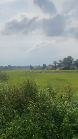 Tanah Luas 935m di Legok Tangerang
