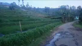 Tanah kebun udara sejuk, pinggir jln desa Cijambu