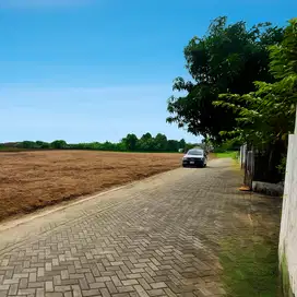 Area Kampus Jogja Cocok Bangun Kost