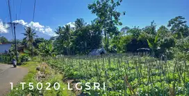 Dijual tanah kebun subur luas pinggir jalan dekat kota strategis
